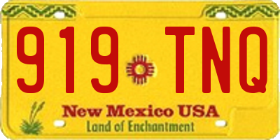 NM license plate 919TNQ