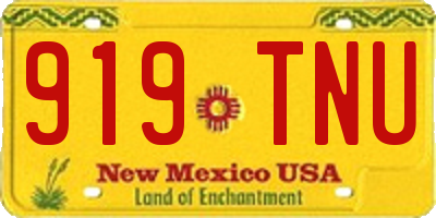 NM license plate 919TNU