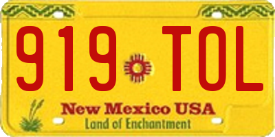 NM license plate 919TOL