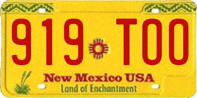 NM license plate 919TOO