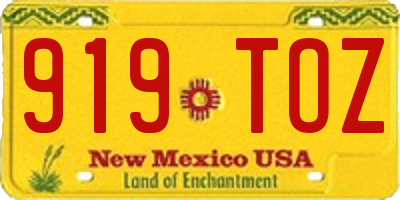 NM license plate 919TOZ