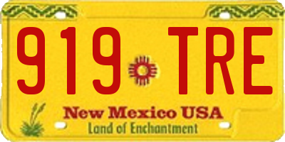 NM license plate 919TRE