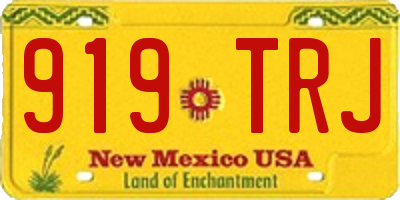 NM license plate 919TRJ