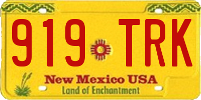 NM license plate 919TRK
