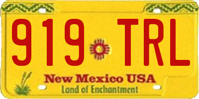 NM license plate 919TRL