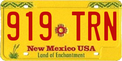 NM license plate 919TRN