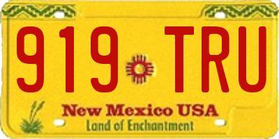 NM license plate 919TRU