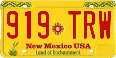 NM license plate 919TRW