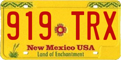 NM license plate 919TRX
