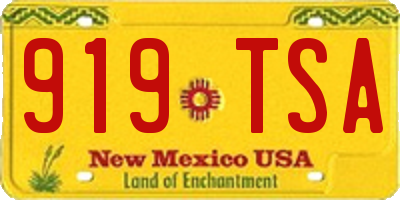 NM license plate 919TSA