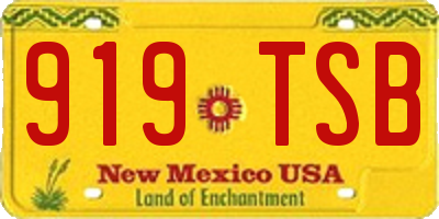 NM license plate 919TSB
