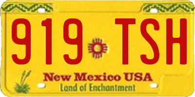 NM license plate 919TSH