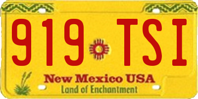 NM license plate 919TSI