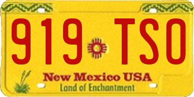 NM license plate 919TSO