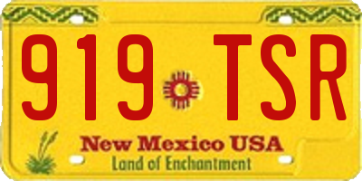 NM license plate 919TSR