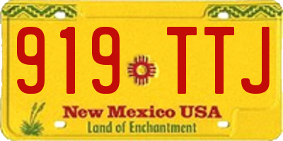 NM license plate 919TTJ
