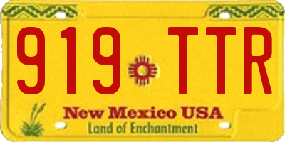 NM license plate 919TTR