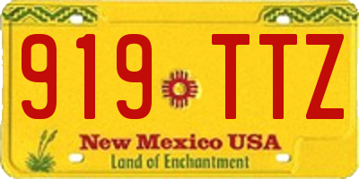 NM license plate 919TTZ