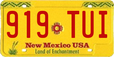 NM license plate 919TUI
