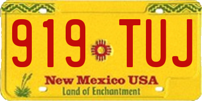 NM license plate 919TUJ