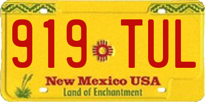 NM license plate 919TUL