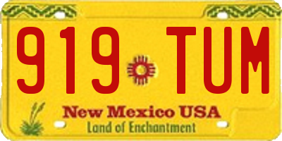 NM license plate 919TUM