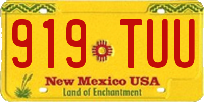 NM license plate 919TUU