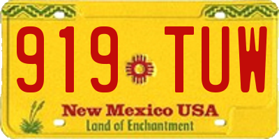 NM license plate 919TUW