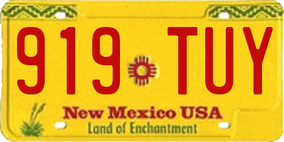 NM license plate 919TUY