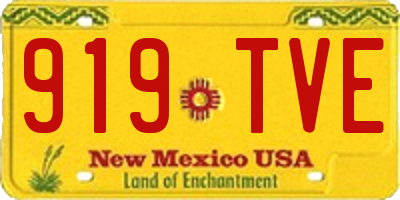 NM license plate 919TVE