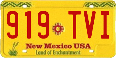 NM license plate 919TVI