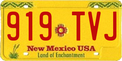 NM license plate 919TVJ