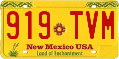 NM license plate 919TVM