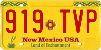 NM license plate 919TVP