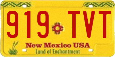 NM license plate 919TVT
