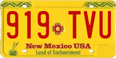 NM license plate 919TVU