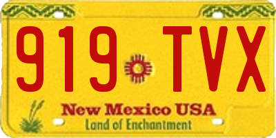 NM license plate 919TVX