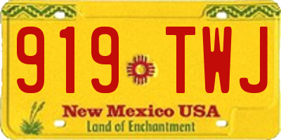 NM license plate 919TWJ