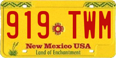 NM license plate 919TWM