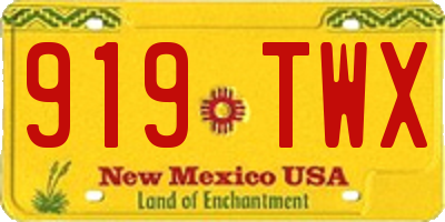 NM license plate 919TWX
