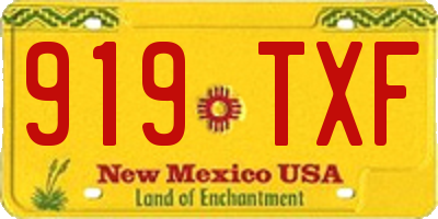 NM license plate 919TXF