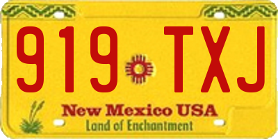 NM license plate 919TXJ