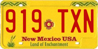 NM license plate 919TXN