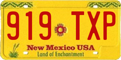 NM license plate 919TXP