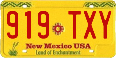 NM license plate 919TXY