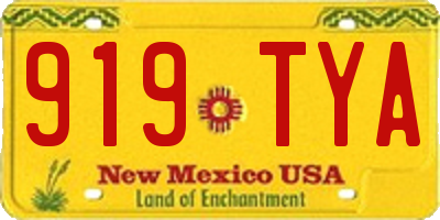 NM license plate 919TYA