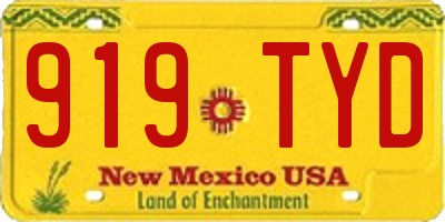NM license plate 919TYD