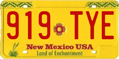 NM license plate 919TYE
