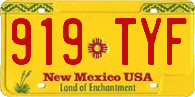 NM license plate 919TYF