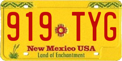 NM license plate 919TYG